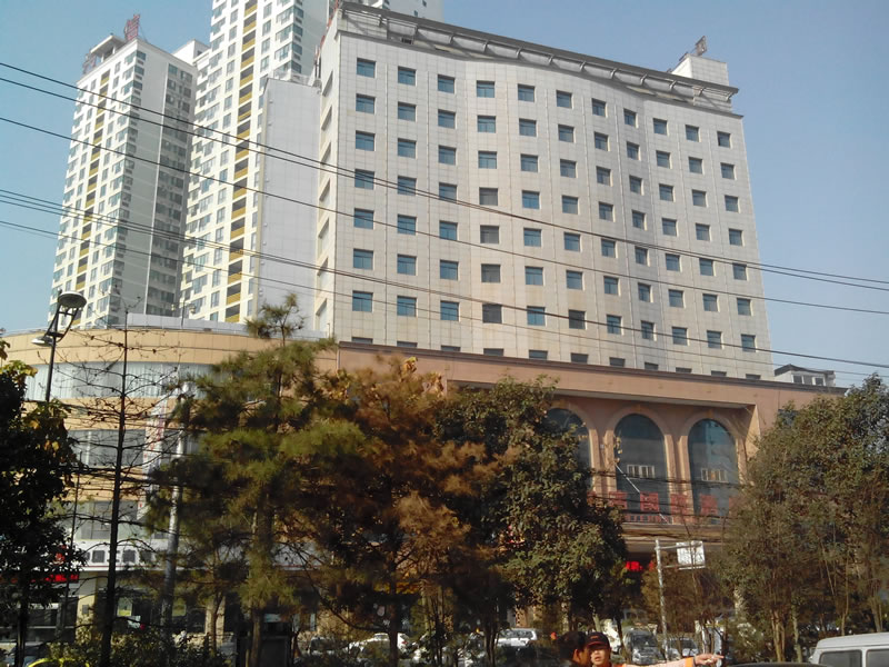 陜西咸陽(yáng)湖濱大酒店抵押項目