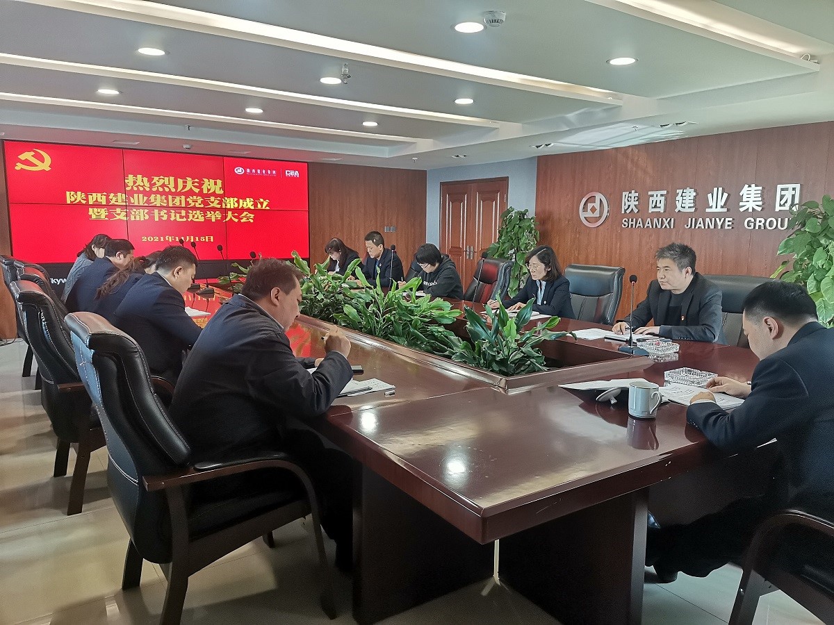 陜西建業(yè)集團黨支部正式成立并組織召開(kāi)第一次黨員大會(huì )